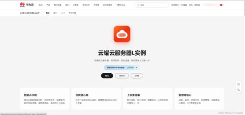 华为云云耀云服务器L实例深度评测 了解配置与管理，体验‘秒快’云魅力